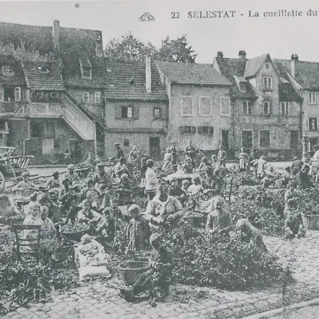Au Bon Vieux Port Maison De Alsacienne A 10 Mn De Ribeauville, 20 Mn D'europapark *