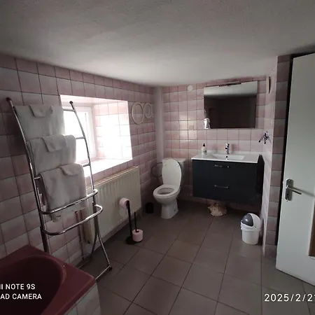 Au Bon Vieux Port Maison De Alsacienne A 10 Mn De Ribeauville, 20 Mn D'europapark Prázdninový dům